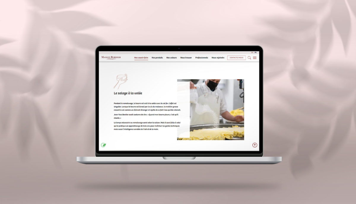 Mockup ordinateur site Bordier